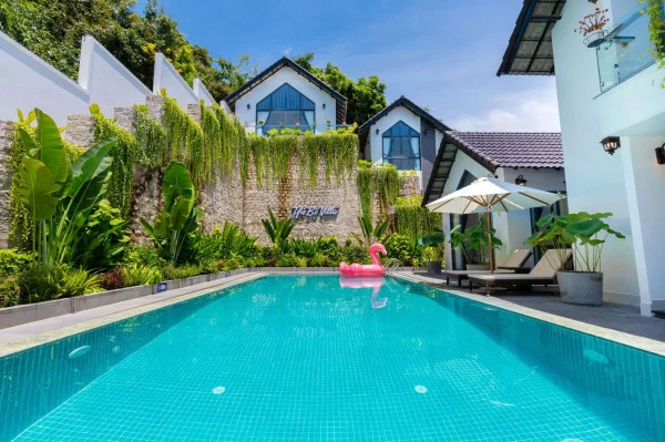 Ảnh Viva VT64 - 26