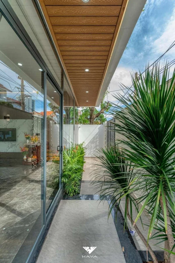 Ảnh Viva VT61 - 37