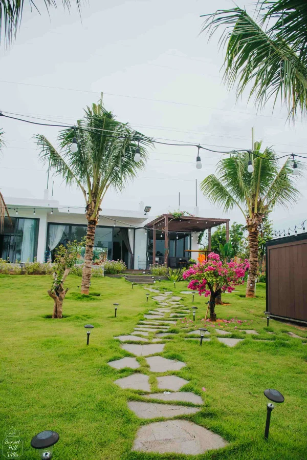 Ảnh Viva PT05 - 14