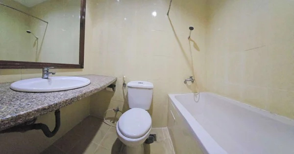 Ảnh Viva PT10 - 12