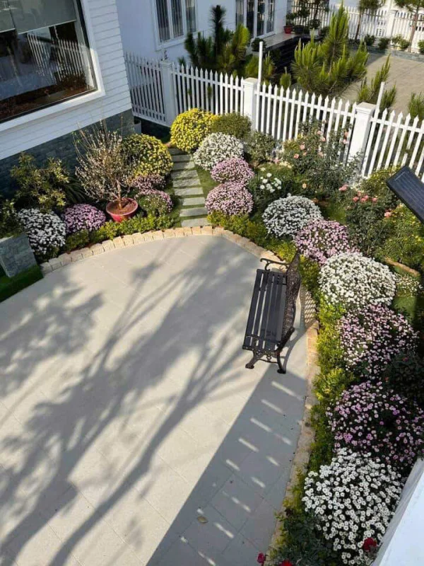 Ảnh Viva ĐL08 - 16