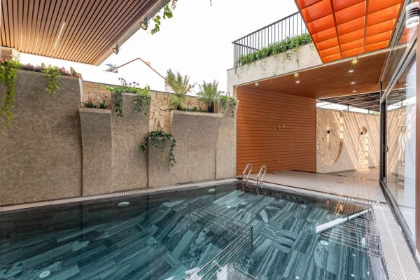 Ảnh Viva VT60 - 29