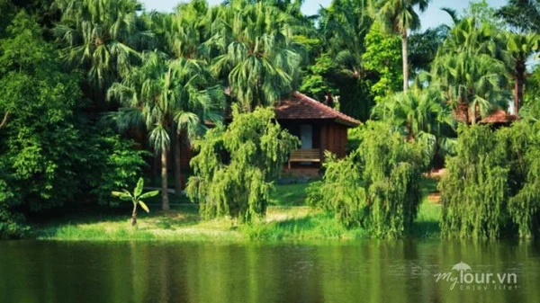 Ảnh Thảo viên resort sơn tây - 10