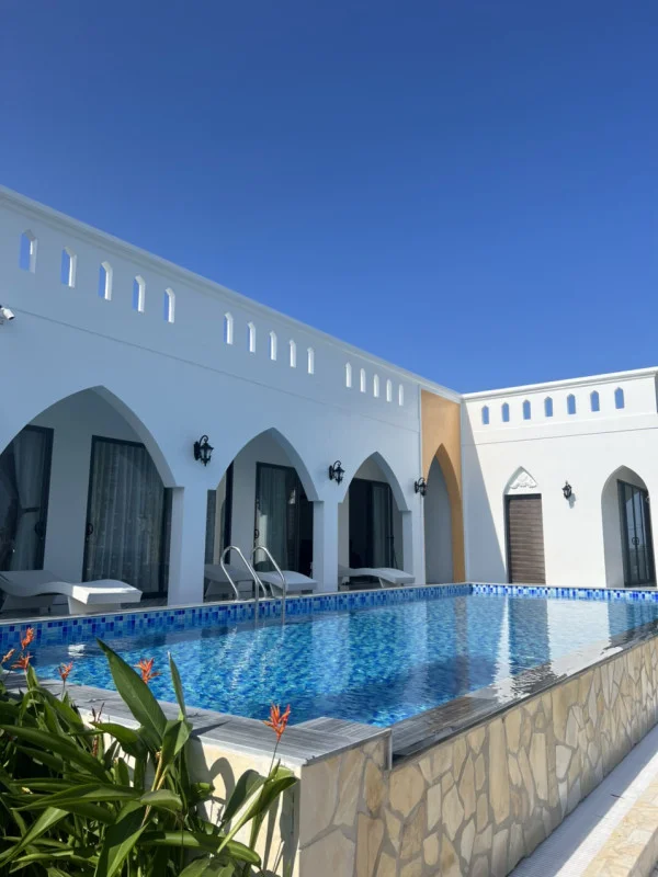 Ảnh Viva PT03 - 32