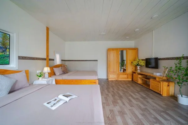 Ảnh Viva Homestay ĐL 08 - 16