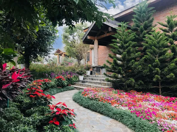 Ảnh Viva TĐ17 - 14