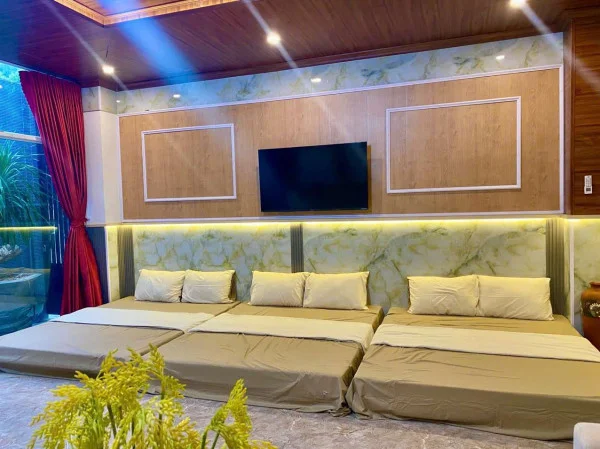 Ảnh Viva VT20 - 30