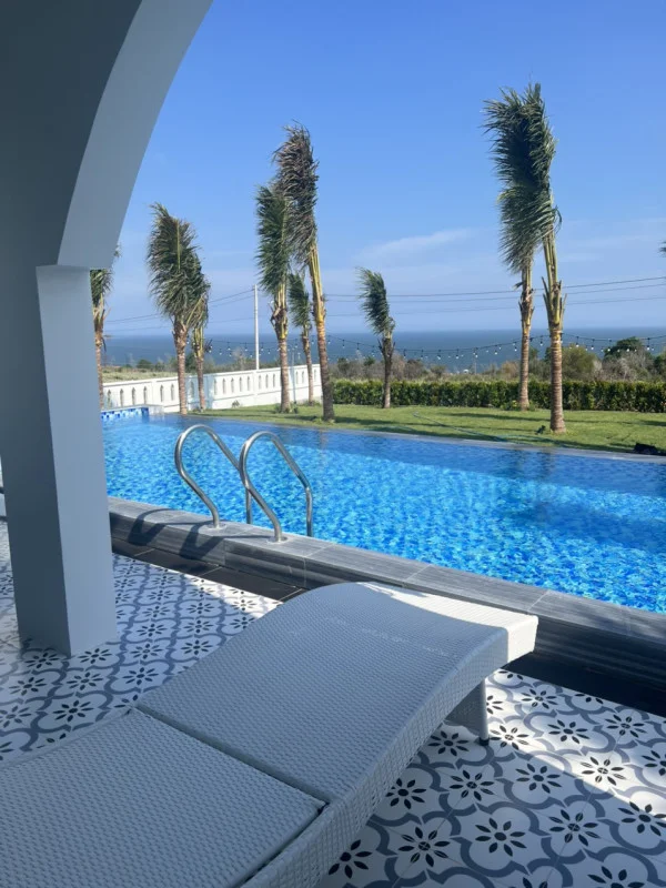 Ảnh Viva PT03 - 20