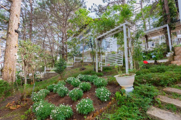 Ảnh Viva ĐL44 - 42