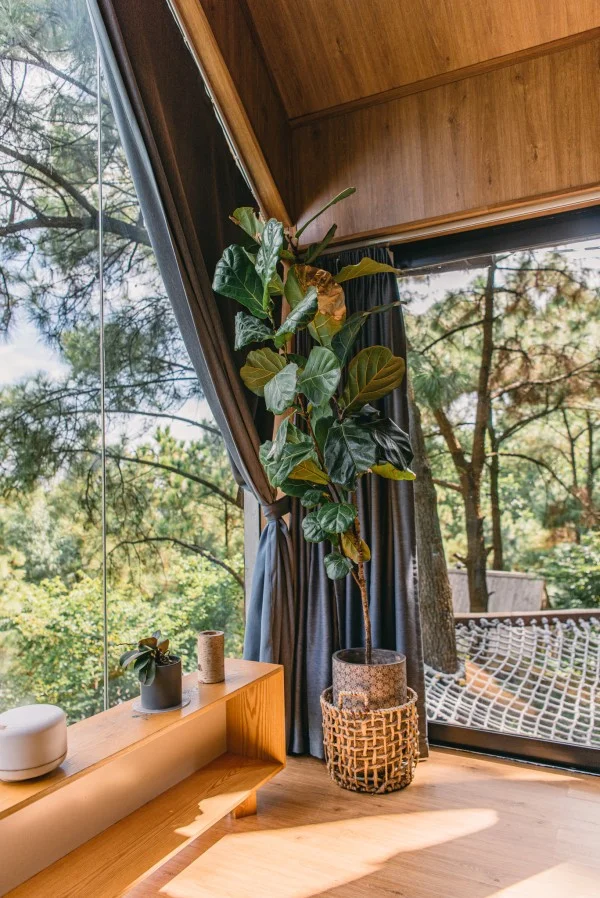 Ảnh Viva Homestay H10 - 15