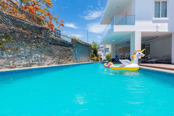 Ảnh Viva VT62 - 16