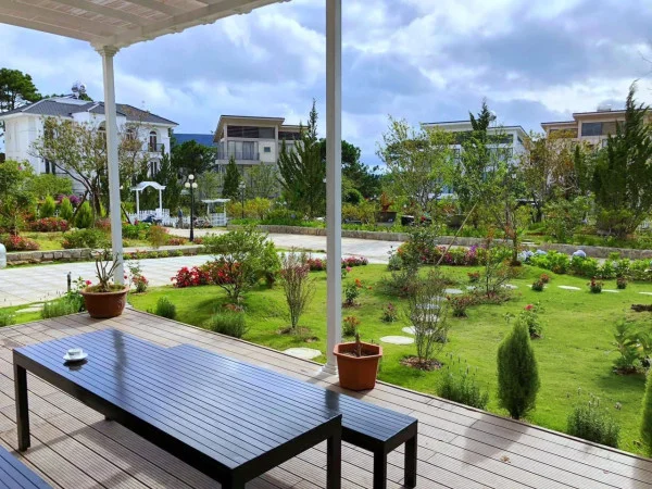 Ảnh Viva ĐL50 - 8