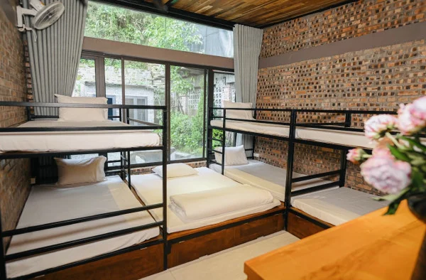 Ảnh Viva TĐ16 - 17