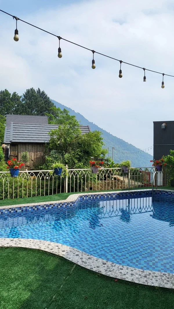 Ảnh Viva TĐ23 - 11