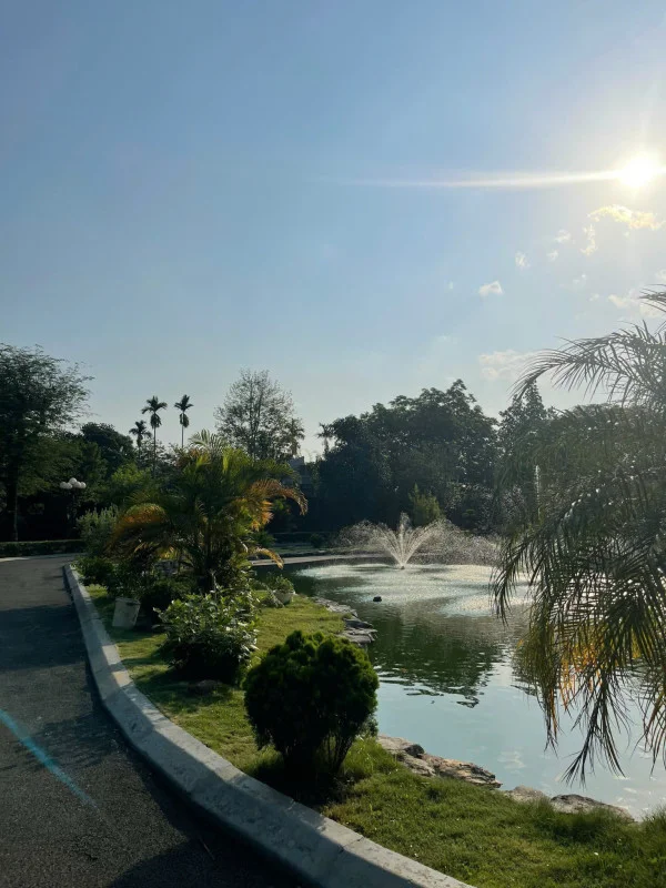 Ảnh Viva HB12 - 13