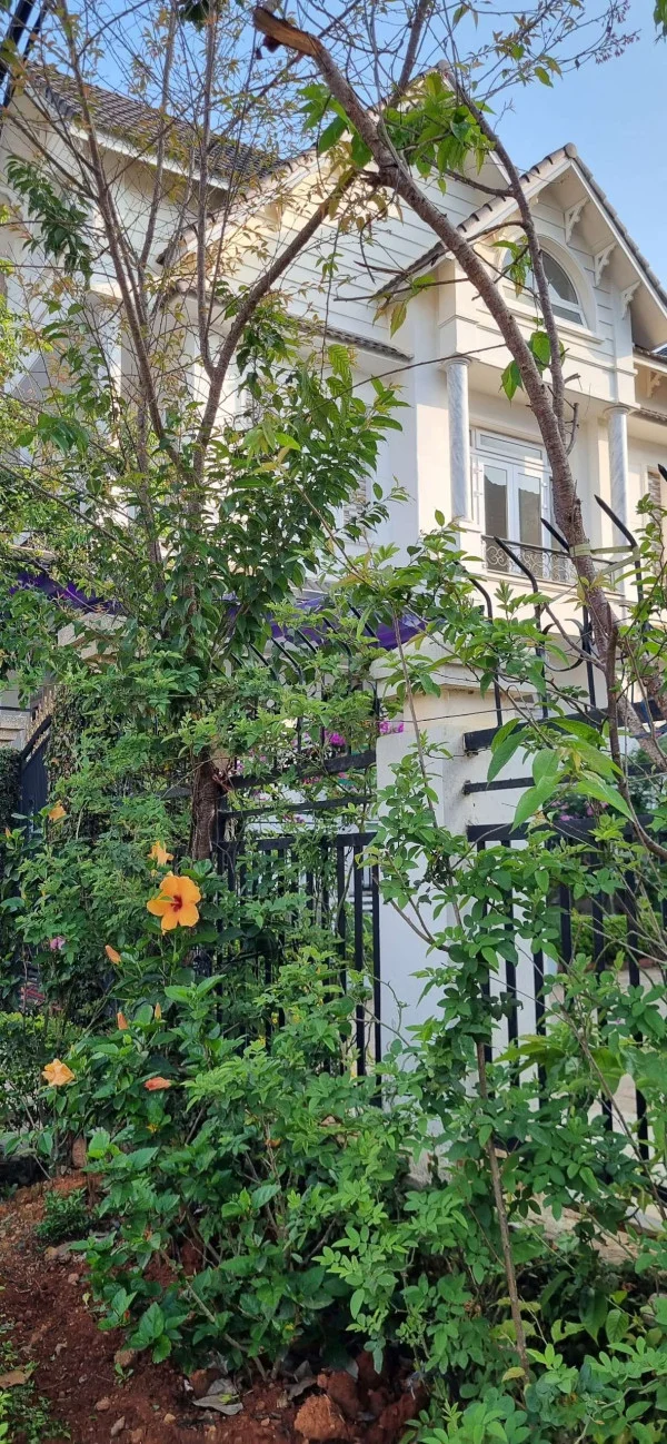 Ảnh Viva ĐL37 - 11