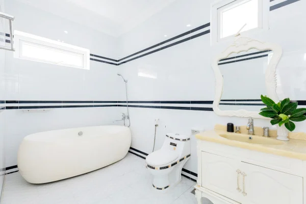 Ảnh Viva VT40 - 30