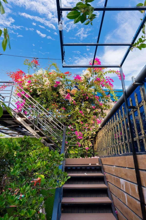 Ảnh Số 5 Nguyễn Đình Tứ - 8