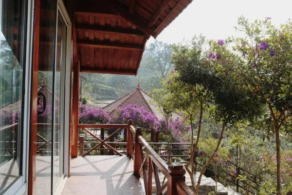 Ảnh Viva Homestay T2 - 11