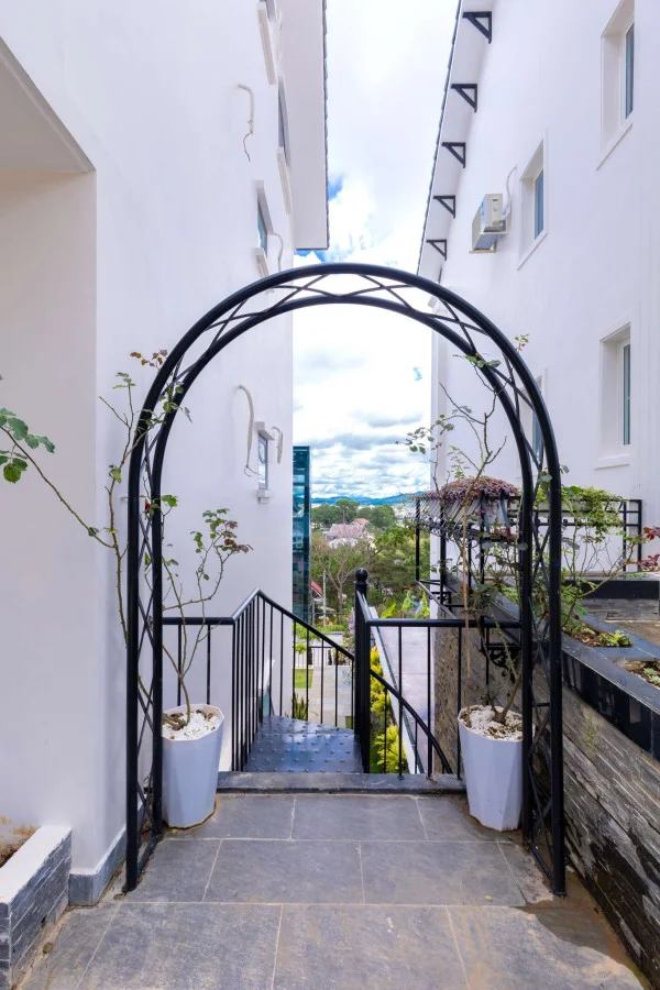 Ảnh Viva ĐL43 - 63