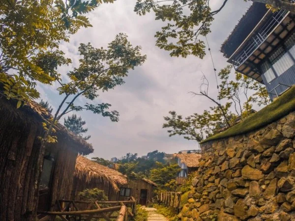 Ảnh Viva Homestay T13 - 13