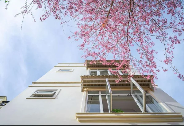 Ảnh Bảo Hân 1 - 29