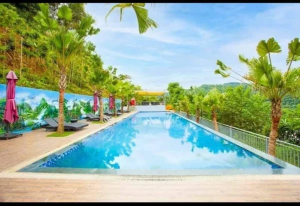 Ảnh Viva HB11 - 18