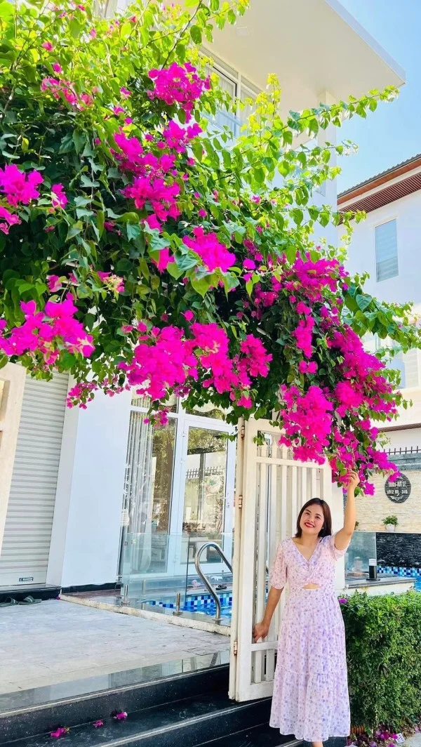 Ảnh Viva NT010 - 18