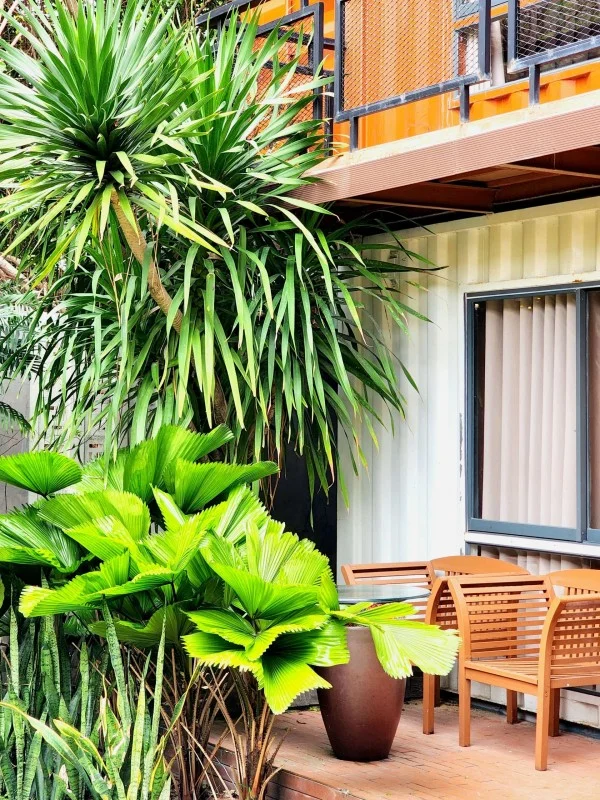 Ảnh Viva Homestay QN 04