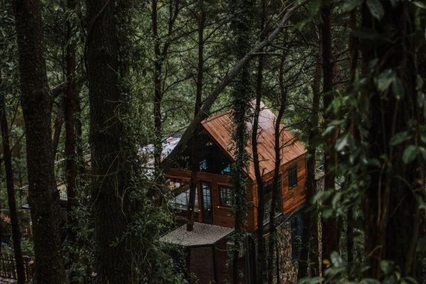 Ảnh Viva Homestay H2 - 15