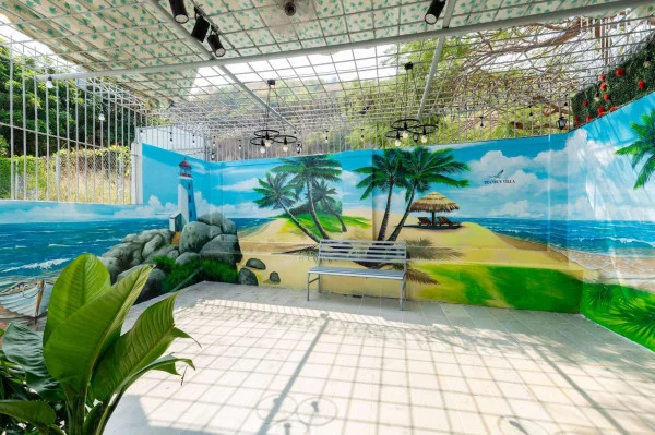 Ảnh 242/7 Phan Chu Trinh - 19