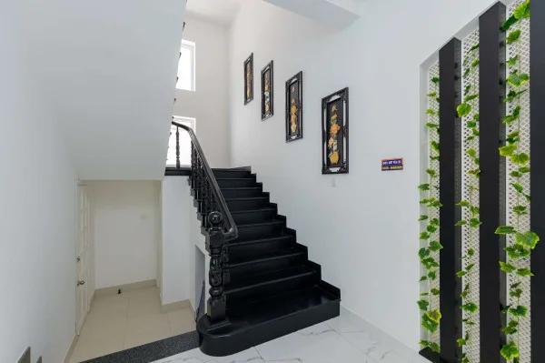 Ảnh Viva VT07 - 23