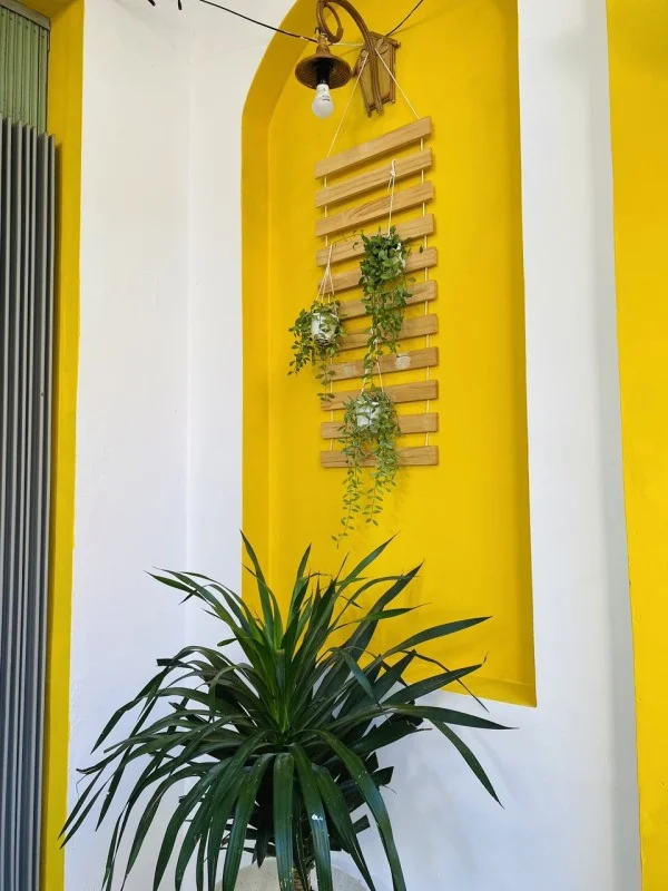 Ảnh Viva Homestay VT 05