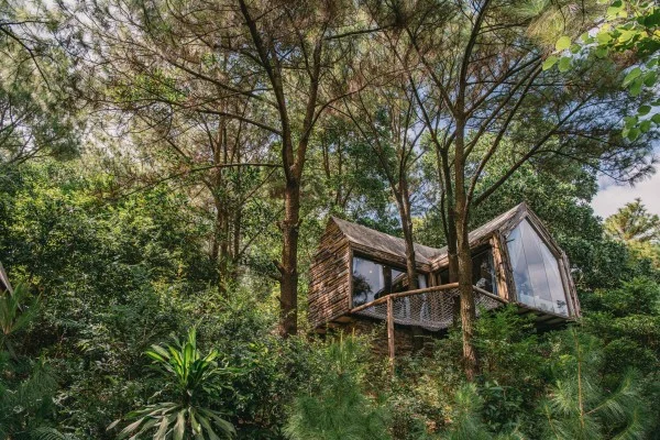 Ảnh Viva Homestay H10