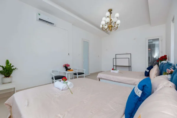 Ảnh Viva VT07 - 38