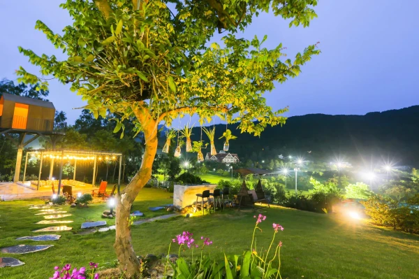 Ảnh Viva TĐ65 - 7