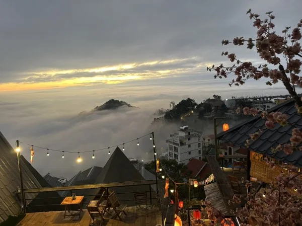 Ảnh Viva Homestay T9 - 10