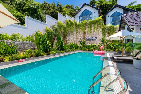 Ảnh Viva VT64 - 40