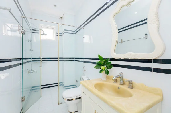 Ảnh Viva VT40 - 24