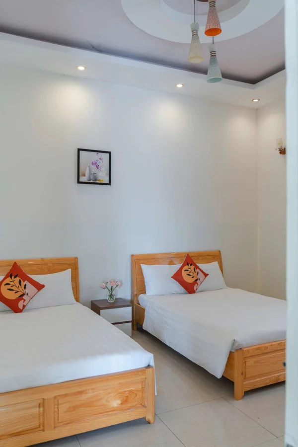 Ảnh Cẩm Tú Cầu 2 - 55