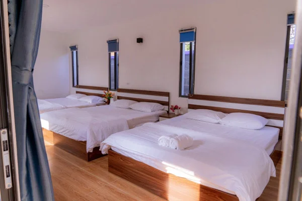 Ảnh Viva VT35 - 20