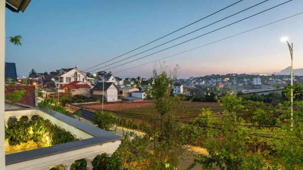 Ảnh Cẩm Tú Cầu 2 - 42