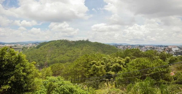 Ảnh Viva Homestay ĐL 02