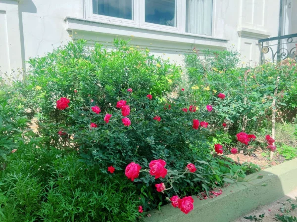 Ảnh Bảo Hân 1 - 31