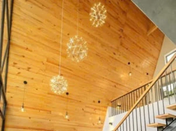 Ảnh Viva HB14 - 15