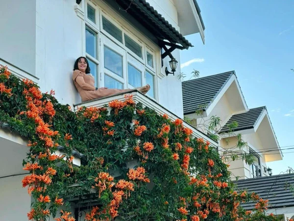 Ảnh Cẩm Tú Cầu 2 - 46