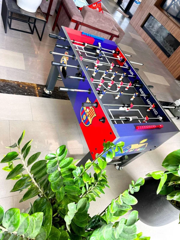 Ảnh Viva TĐ29 - 9