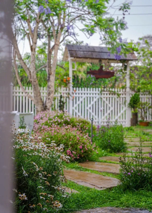 Ảnh Viva Homestay ĐL 08 - 8