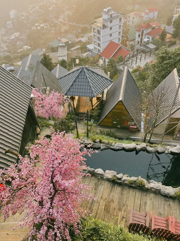 Ảnh Viva Homestay T9