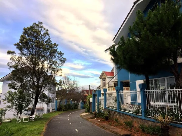 Ảnh Viva ĐL47 - 22